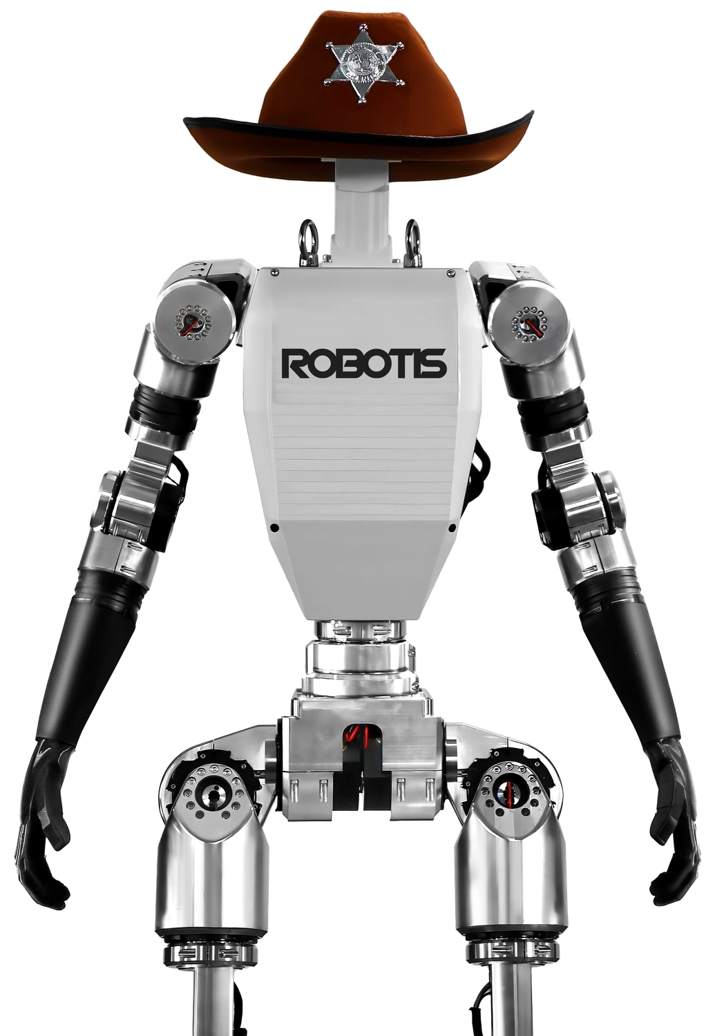AI Sapiens K0