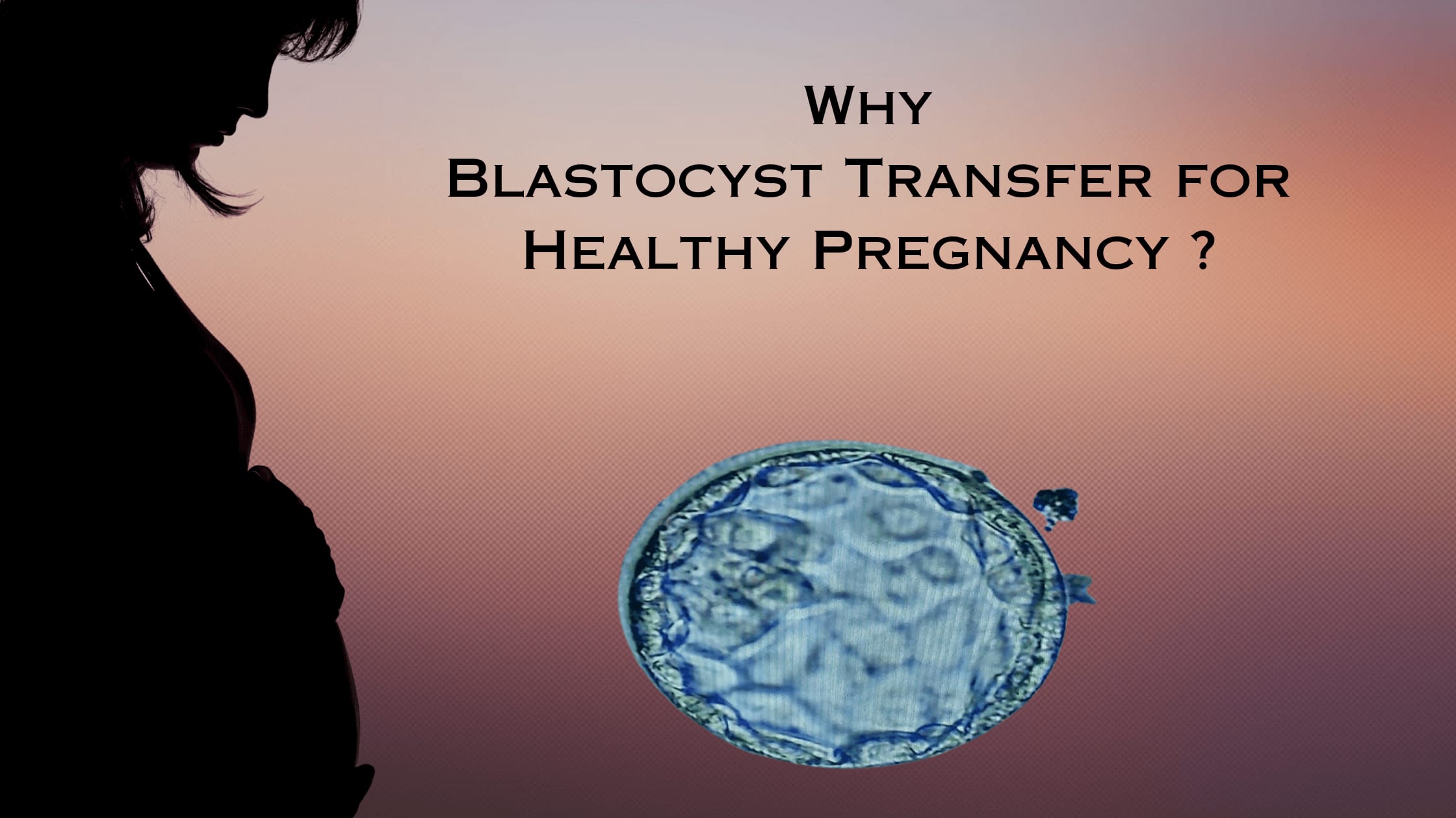 Why Blastocyst Transfer for Healthy Pregnancy