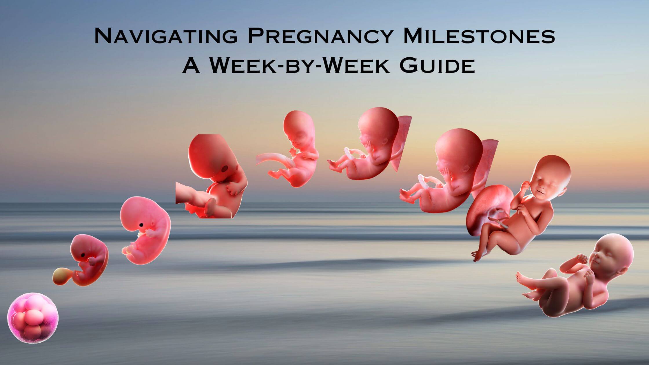 Navigating Pregnancy Milestones: A Week-by-Week Guide