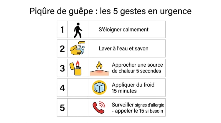 Infographie illustrée présentant les 5 gestes d'urgence à effectuer après une piqûre de guêpe : s'éloigner, laver, chauffer, refroidir et surveiller les signes d'allergie.