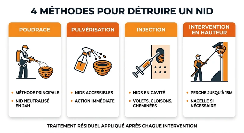 Infographie des methodes professionnelles de destruction de nids de guepes et frelons