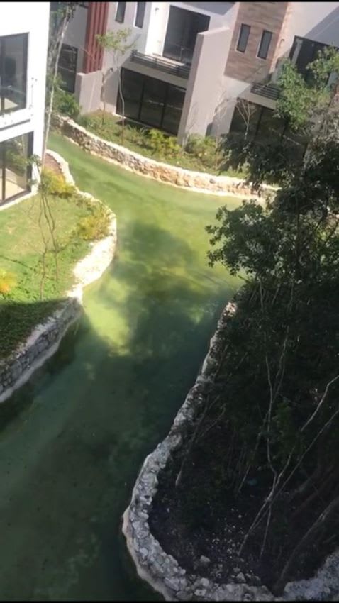 Imagen 3 de Departamento en Lagunas de Ciudad Mayakoba, Solidaridad, Quintana Roo
