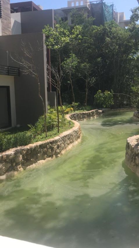 Imagen 8 de Departamento en Lagunas de Ciudad Mayakoba, Solidaridad, Quintana Roo