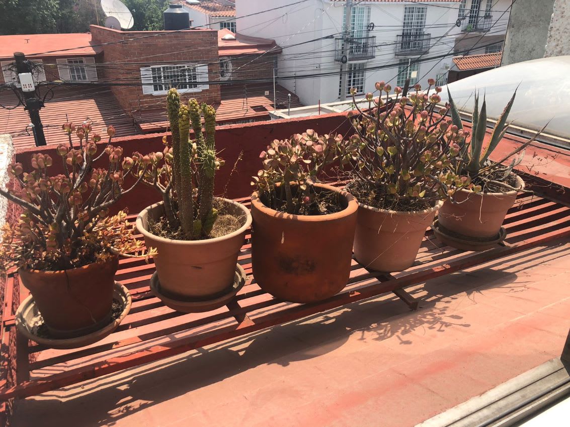 Imagen 13 de Departamento en San Jerónimo Lídice, Ciudad de México