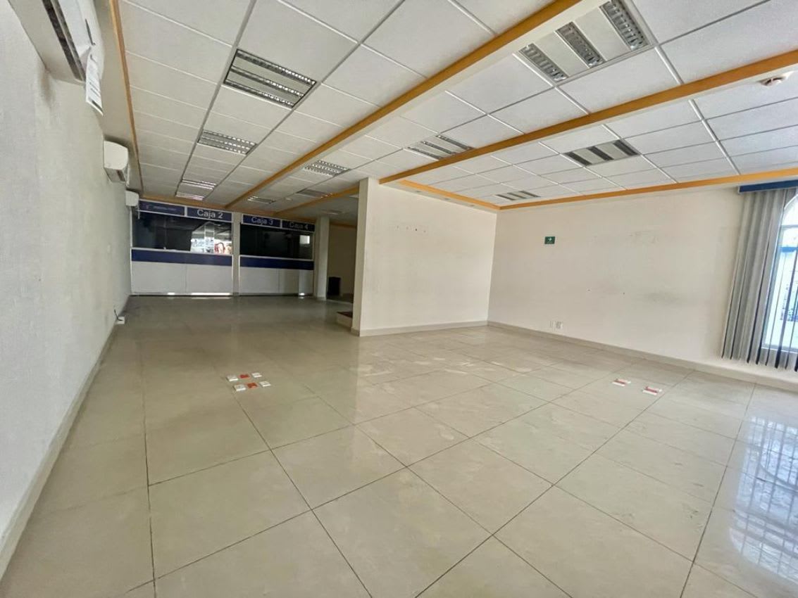 Imagen 7 de Local Comercial en San Pedro, Xochimilco, Ciudad de México