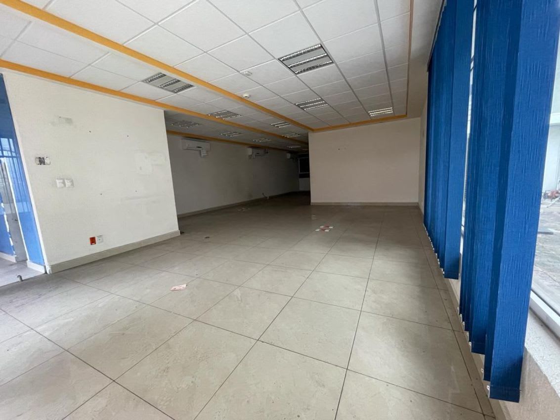Imagen 9 de Local Comercial en San Pedro, Xochimilco, Ciudad de México