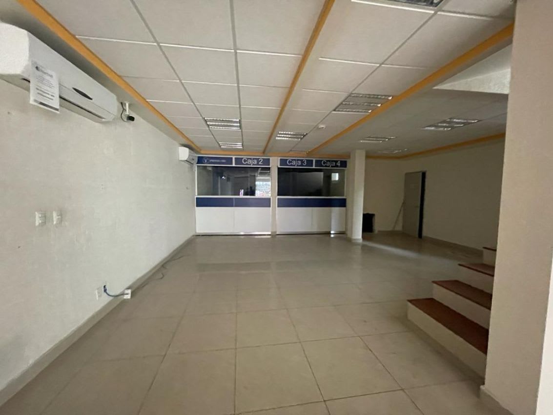 Imagen 10 de Local Comercial en San Pedro, Xochimilco, Ciudad de México