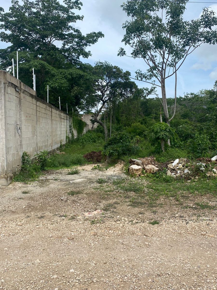Imagen 4 de En venta terreno en Cholul, ideal para proyecto habitacional 