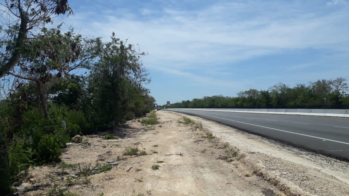 Imagen 3 de Terreno sobre carretera en Baca Yucatán
