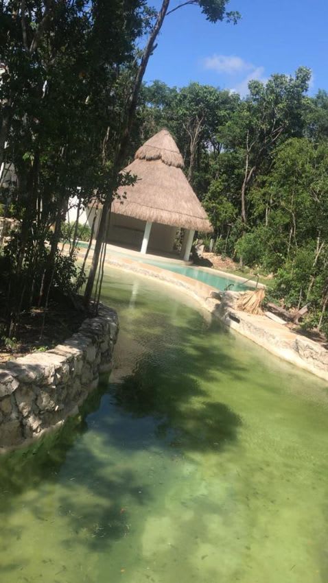 Imagen 12 de Departamento en Lagunas de Ciudad Mayakoba, Solidaridad, Quintana Roo