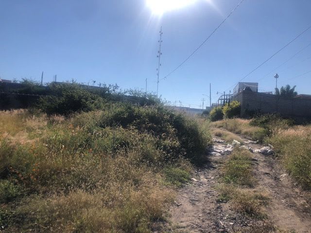 Imagen 3 de Terreno de Oportunidad en el Castillo Guanajuato, Apaseo el Grande. 
