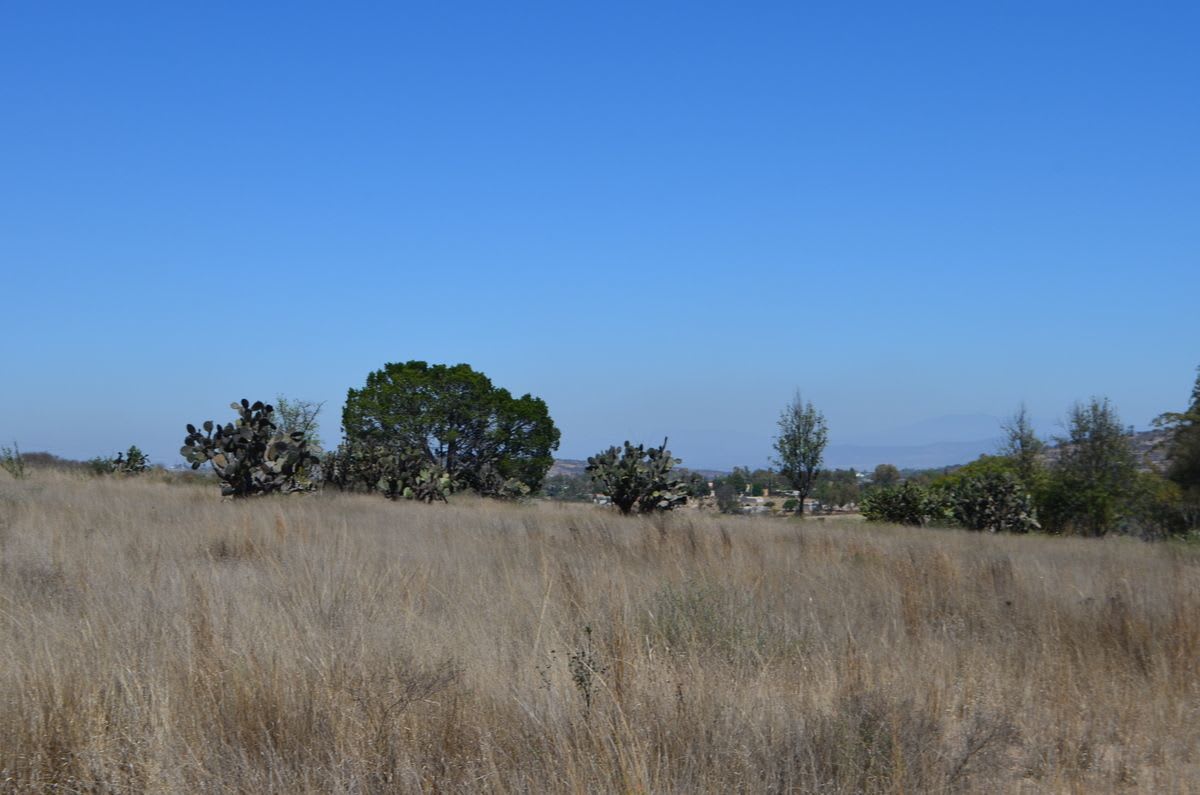 Imagen 2 de Terreno Campestre en Venta, San Juan del Río, Querétaro
