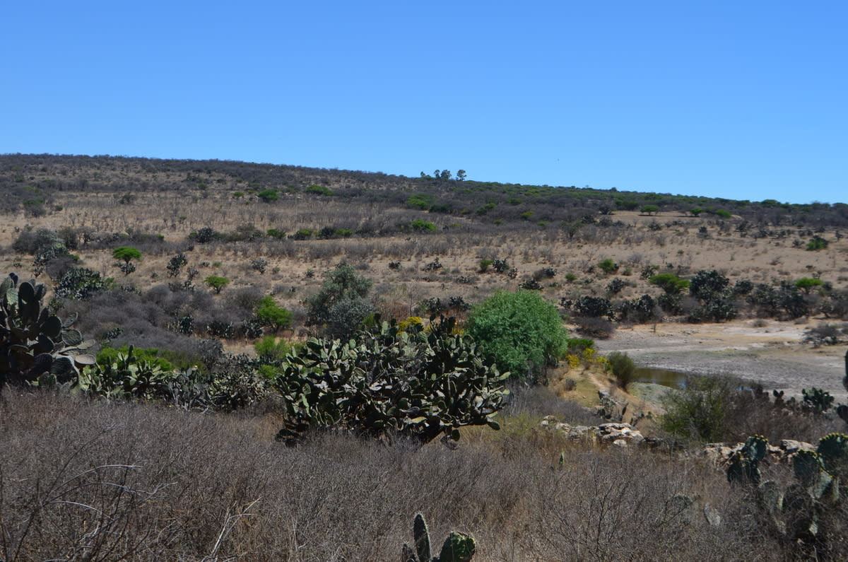 Imagen 9 de Terreno Industrial en venta en Palmillas, San Juan del Rio, Querétaro