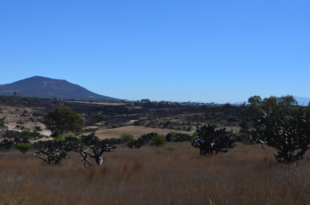Terreno Industrial en venta en Palmillas, San Juan del Rio, Querétaro