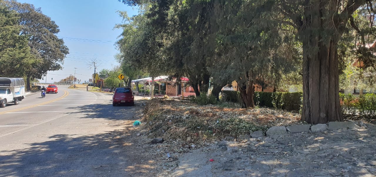 Imagen 3 de Departamento en renta en San Andrés Totoltepec