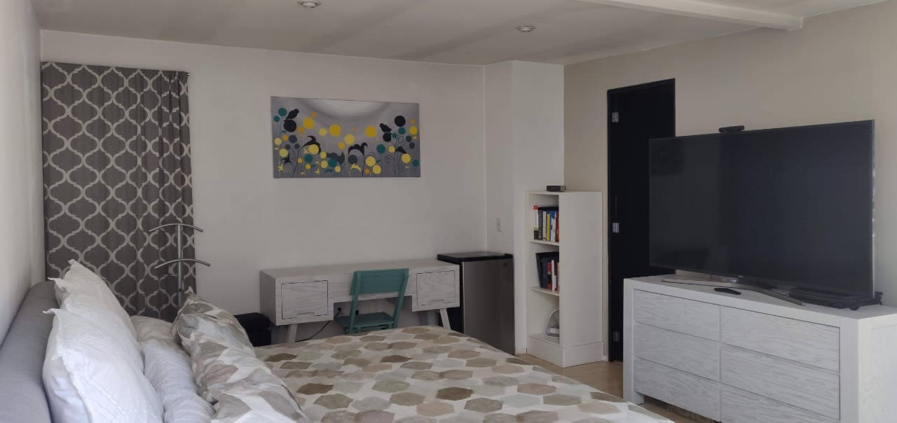 Imagen 3 de Departamento en venta en Granada, Ciudad de México 