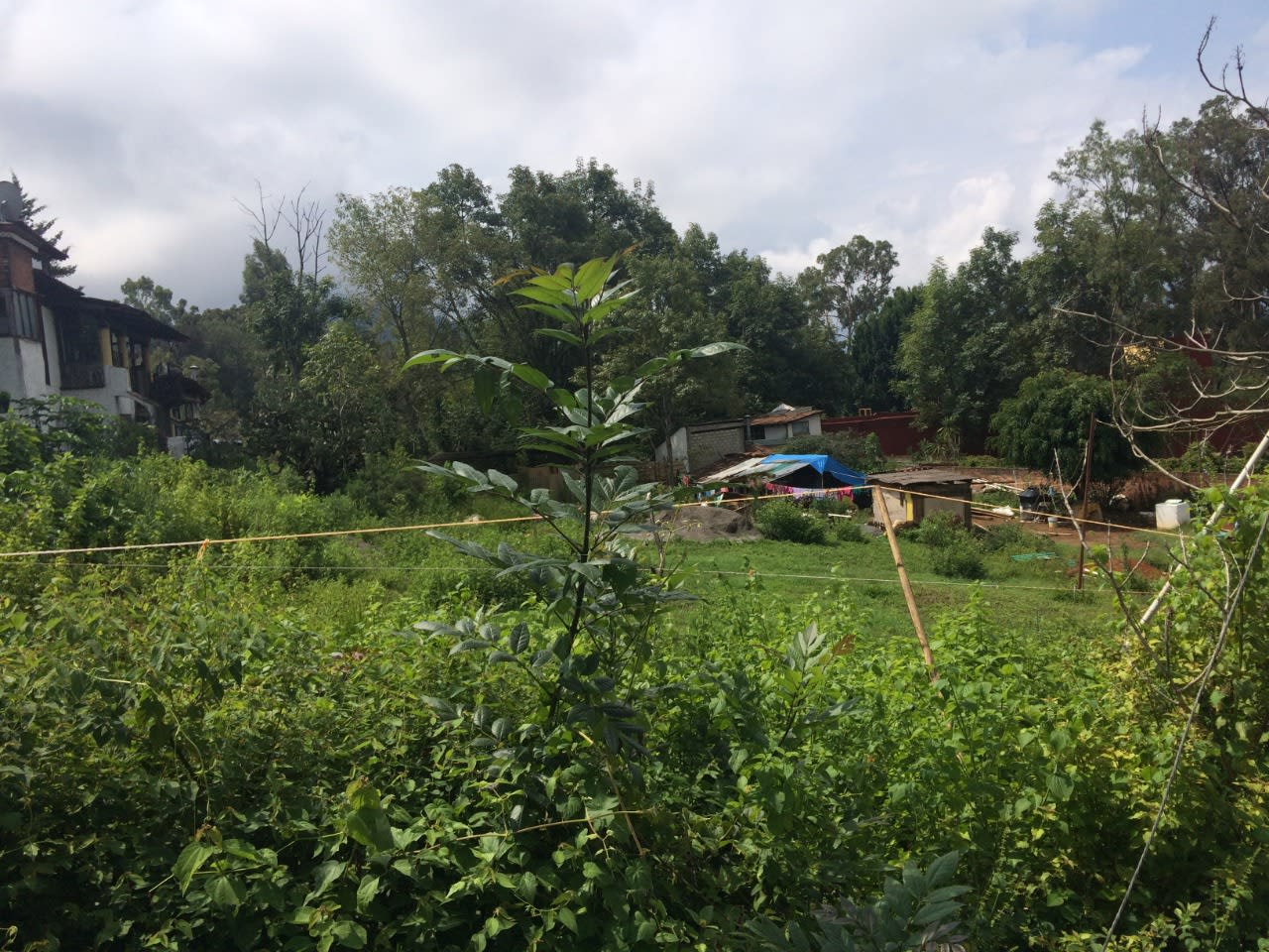 Imagen 4 de Terreno/Lote en venta en San Antonio.