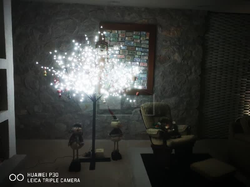 Imagen 7 de Quinta en venta en Los Gómez, San Luis Potosí 