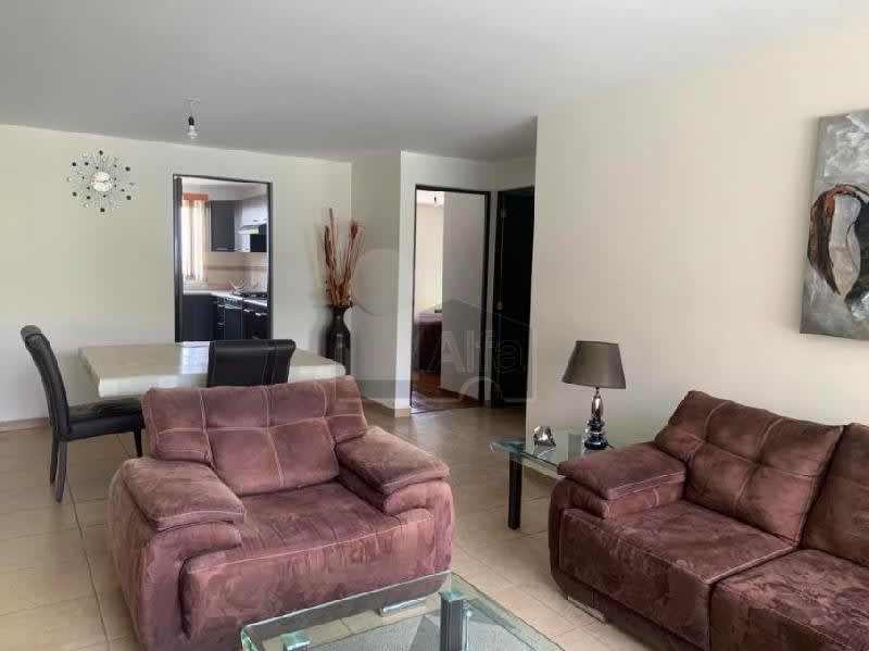 Imagen 15 de Departamento en renta en Lomas del Tecnológico, San Luis Potosí 