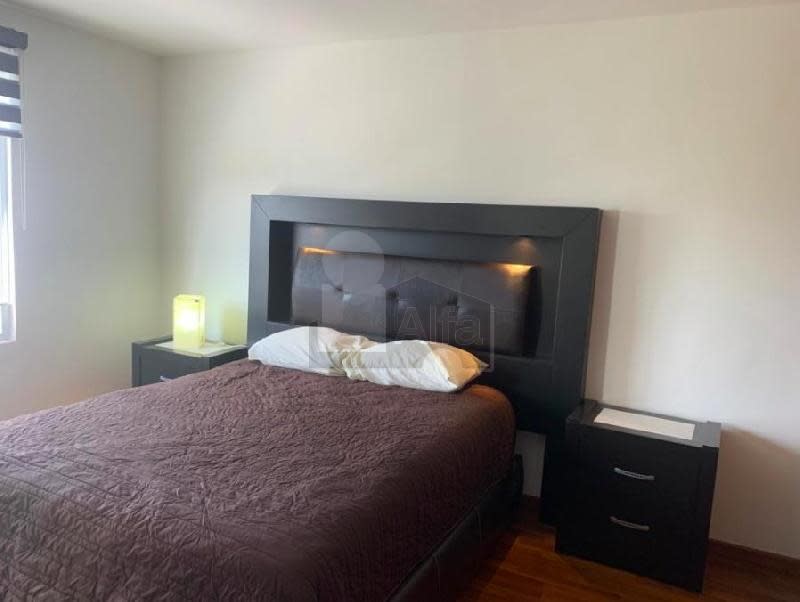 Imagen 5 de Departamento en renta en Lomas del Tecnológico, San Luis Potosí 