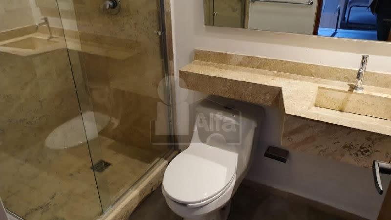 Imagen 6 de Departamento en renta en Lomas del Tecnológico, San Luis Potosí 