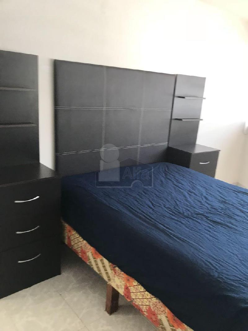 Imagen 10 de Casa sola en renta en Lomas 4a Sección, San Luis Potosí 