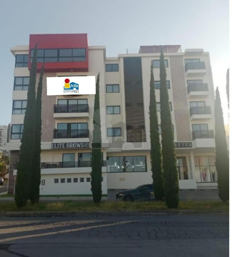 Imagen 15 de Departamento en renta en Lomas del Tecnológico, San Luis Potosí 