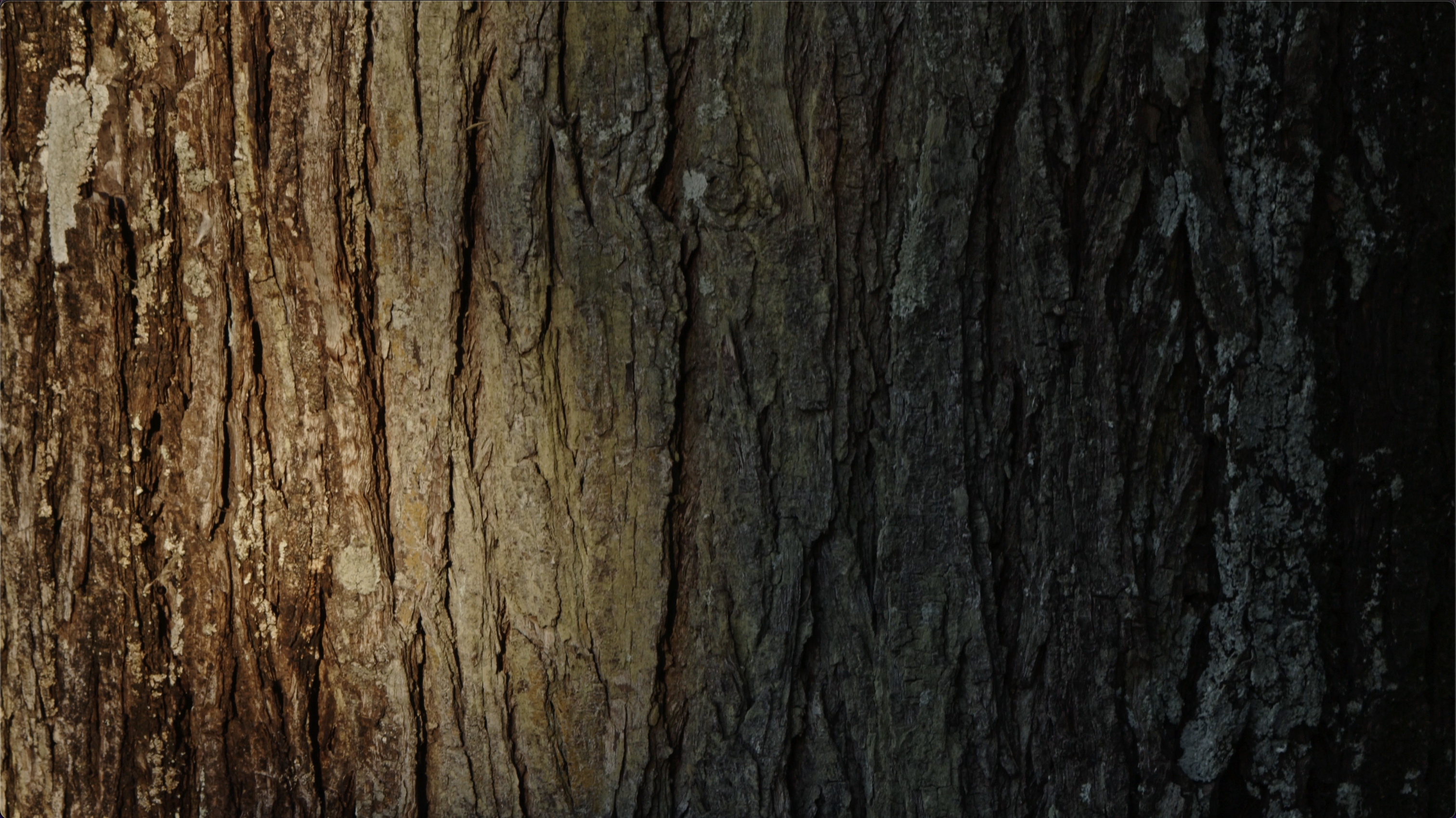 Frame 3