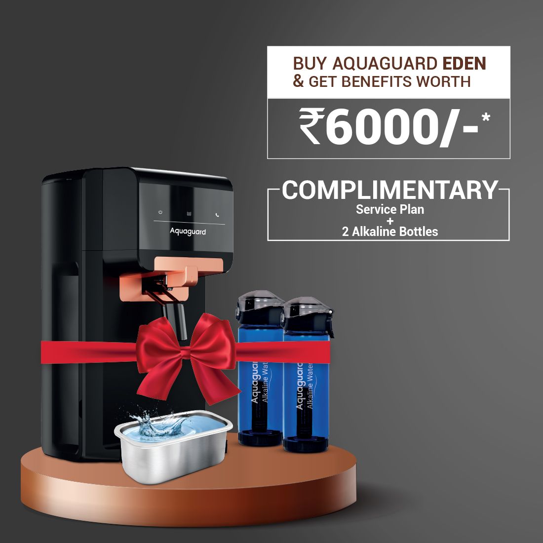 Eureka Forbes Wall Mount Water Purifier AQUAGUARD EDEN RO+UV+WS+SS