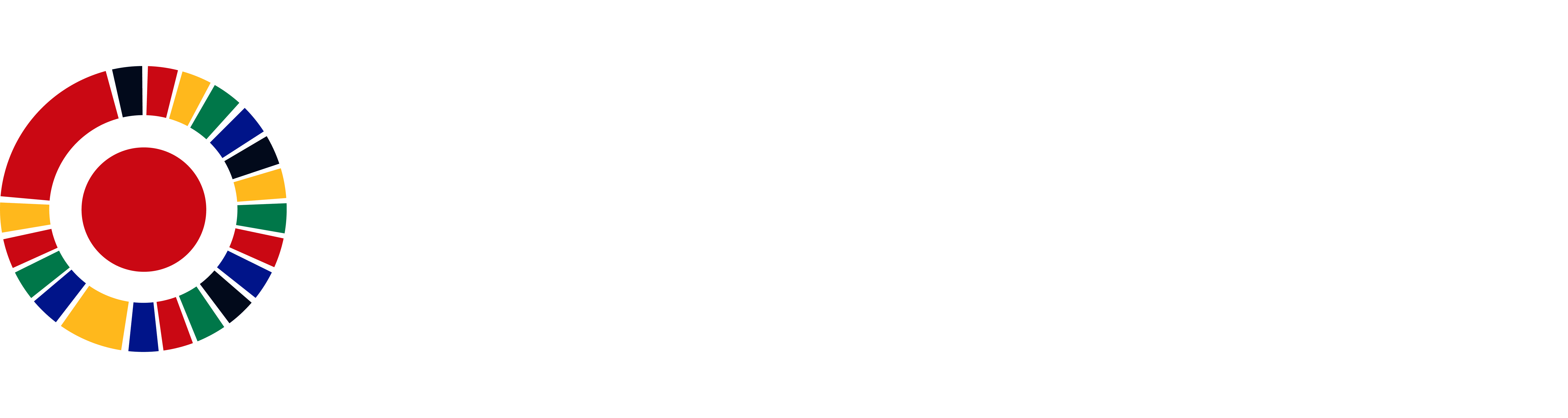 South African Daily logo