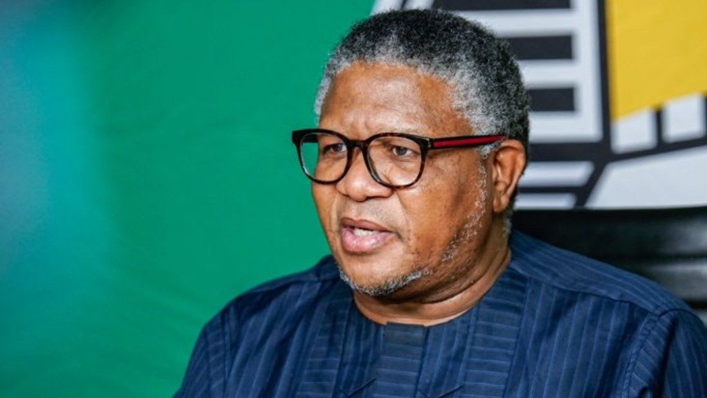 Photo:Mbalula accuses Trump of targeting South Africa with lies about “white genocide”– South African Daily”