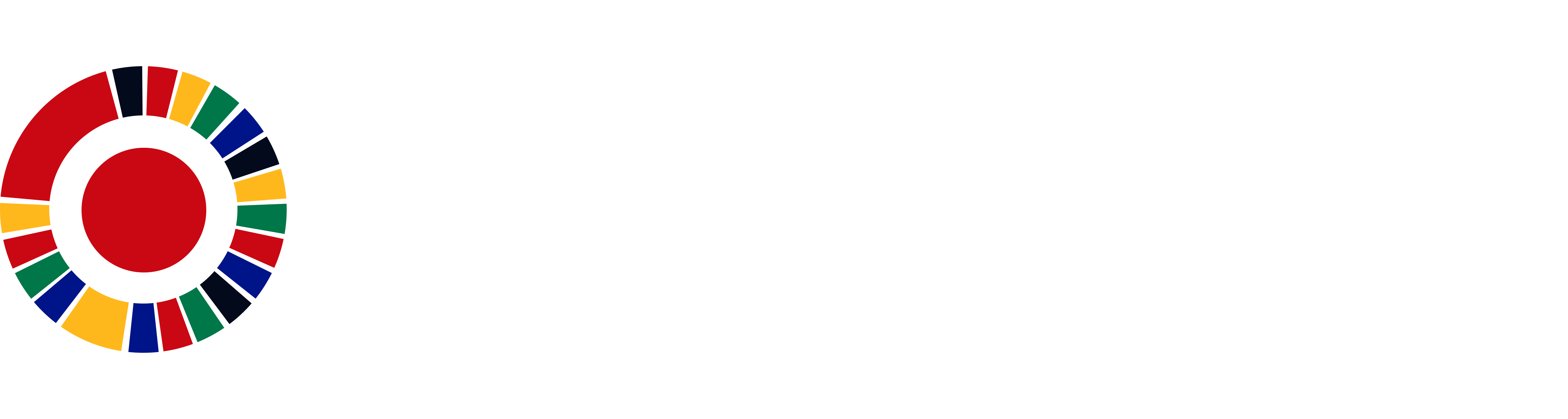 South African Daily logo