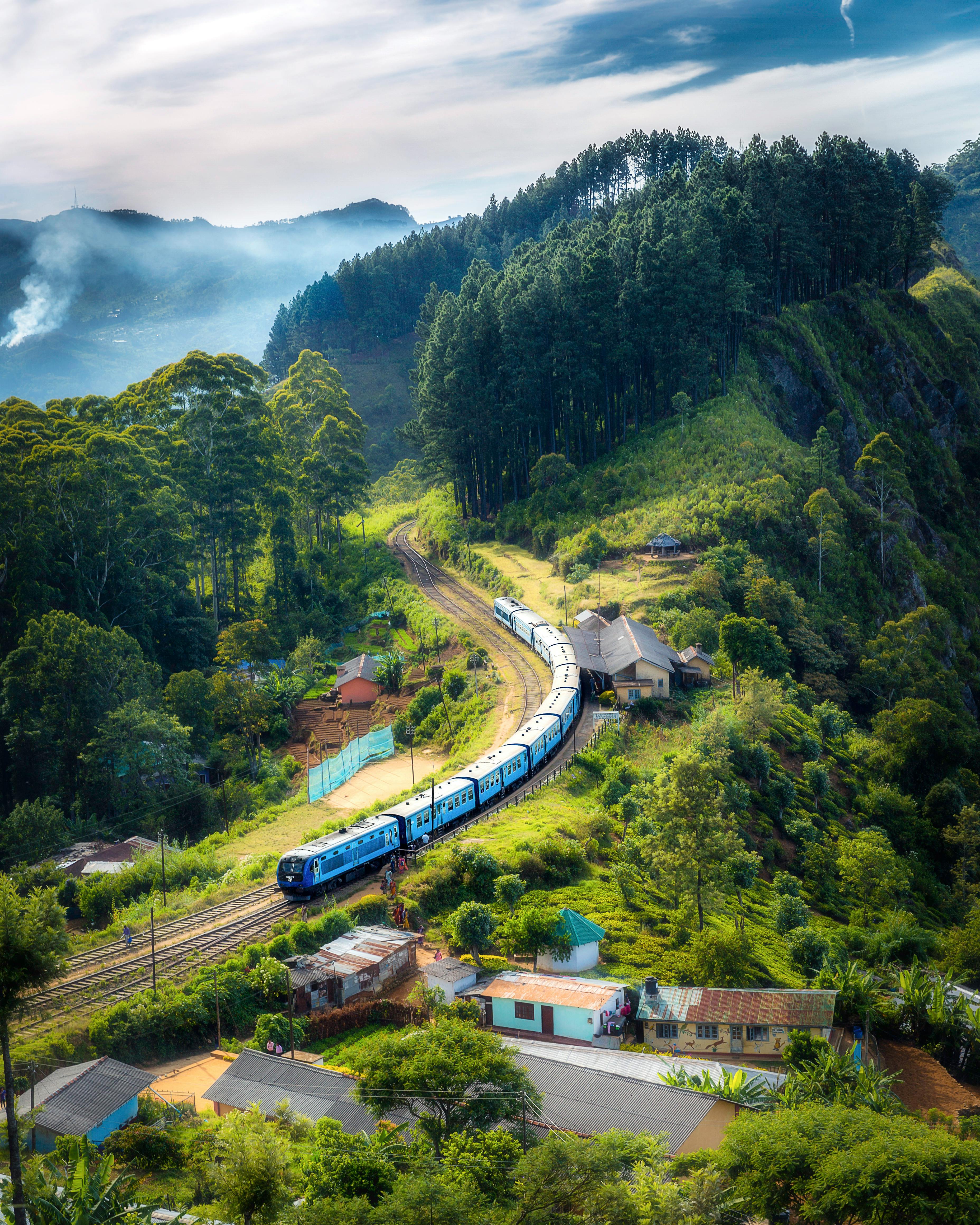 Nuwara Eliya vs Ella: Where to Stay in the Tea Country