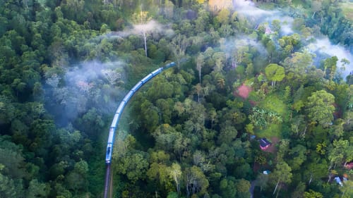 Nuwara Eliya misty tea hills