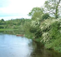 A hedgerow adjacent to a river