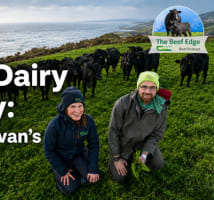 An image of Anna Sexton and James O'Sullivan in a grassland paddock overlooking the sea. Text overlaid: Making Dairy Beef Pay: James O'Sullivan's farm system