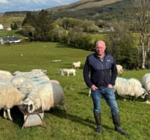 Barry O'Hagan pictured among his flock of sheep