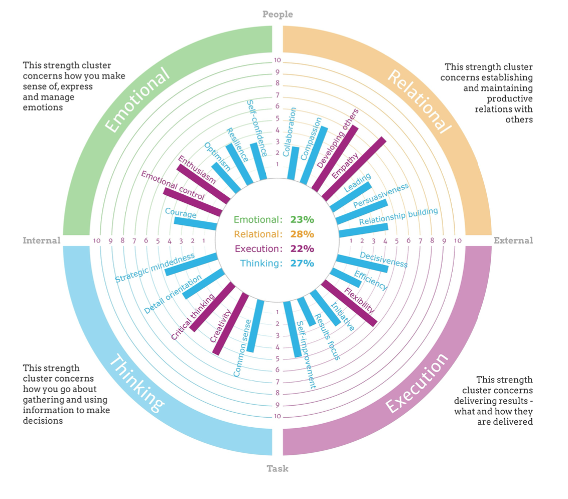 Strengthscope Profile