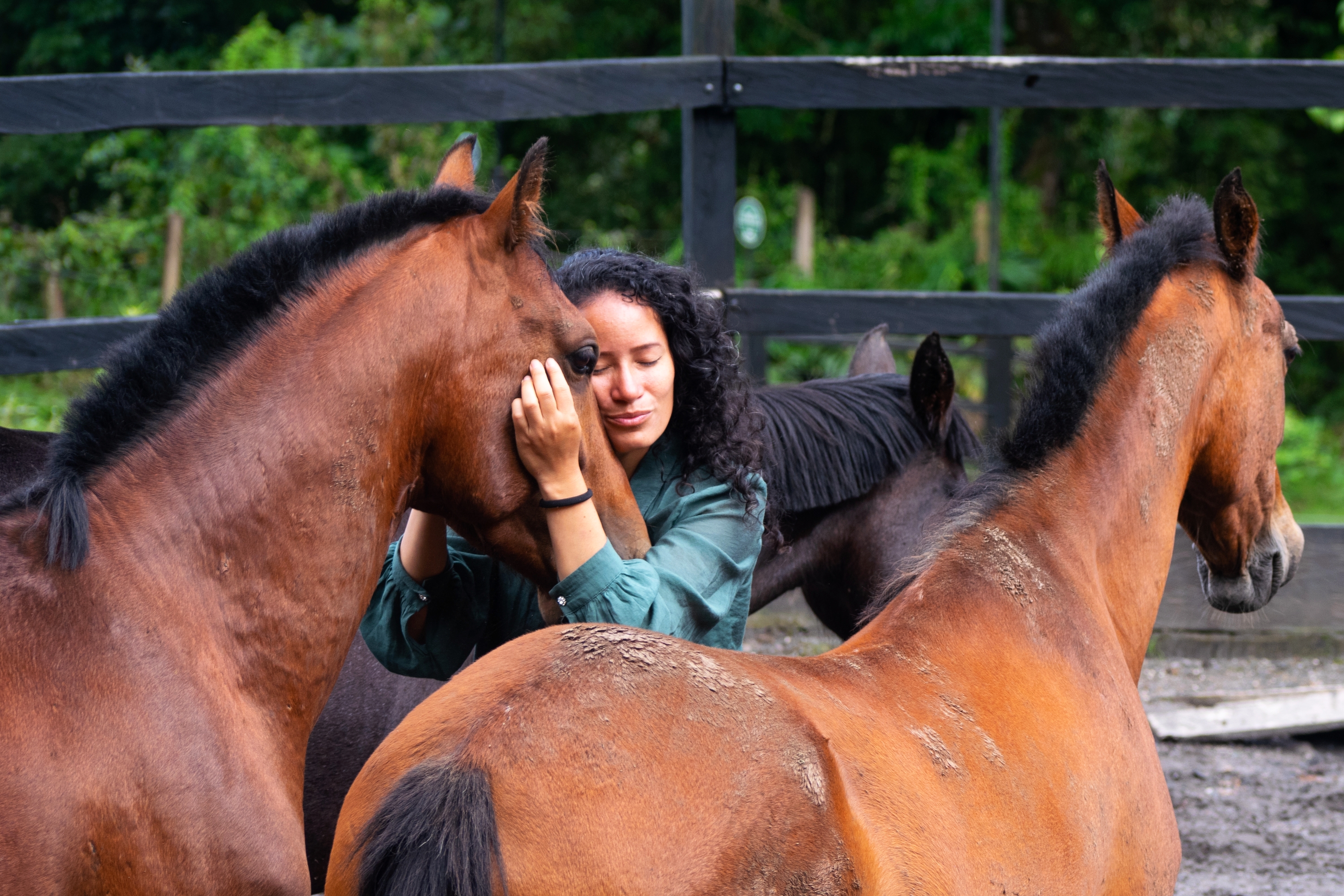 Pasadia con Caballos en Libertad