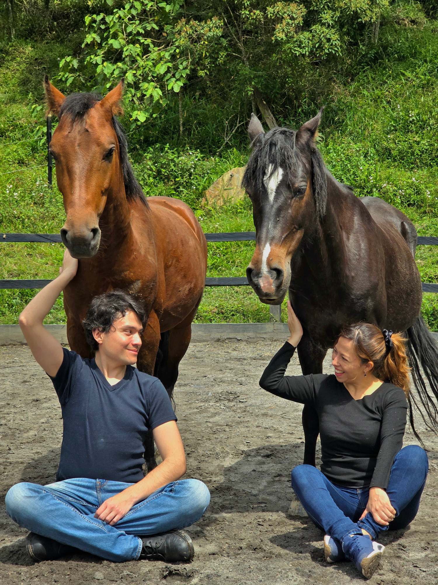 Terapia con Caballos