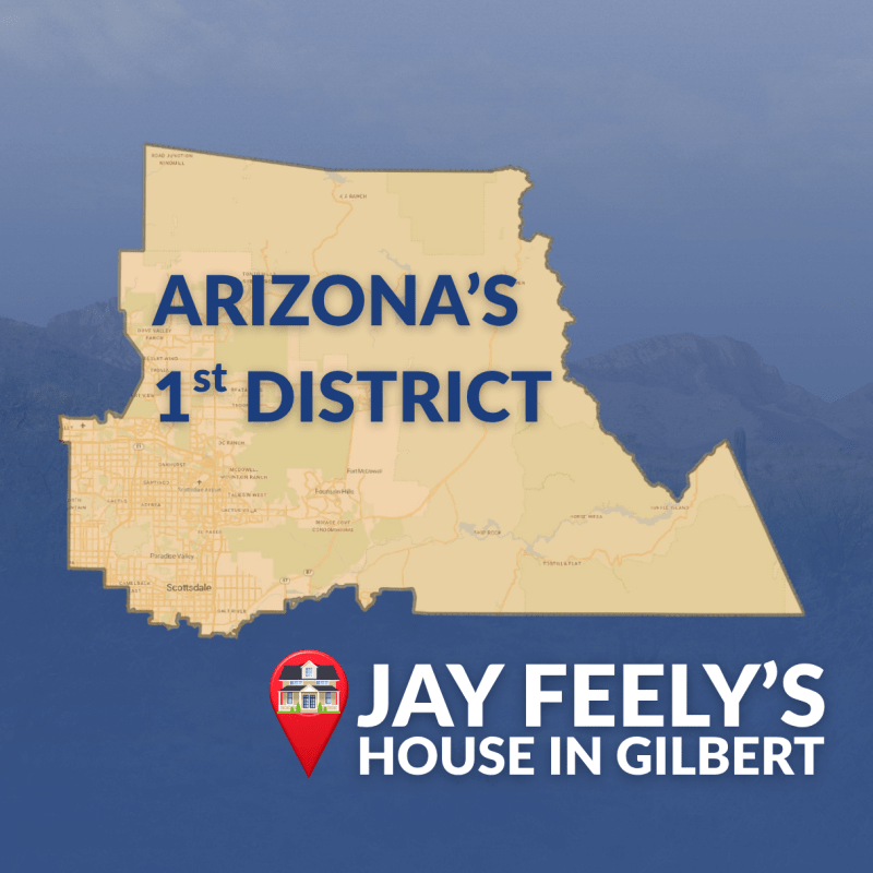 Arizona 1st District map