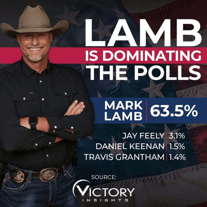 Lamb dominating polls
