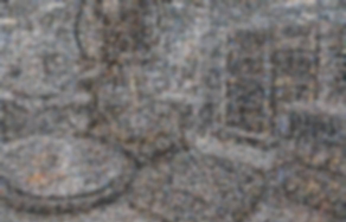 Nauja daugiabranduolė neuromorfinė architektūra treniruoja impulsinius neuroninius tinklus be tradicinių GPU