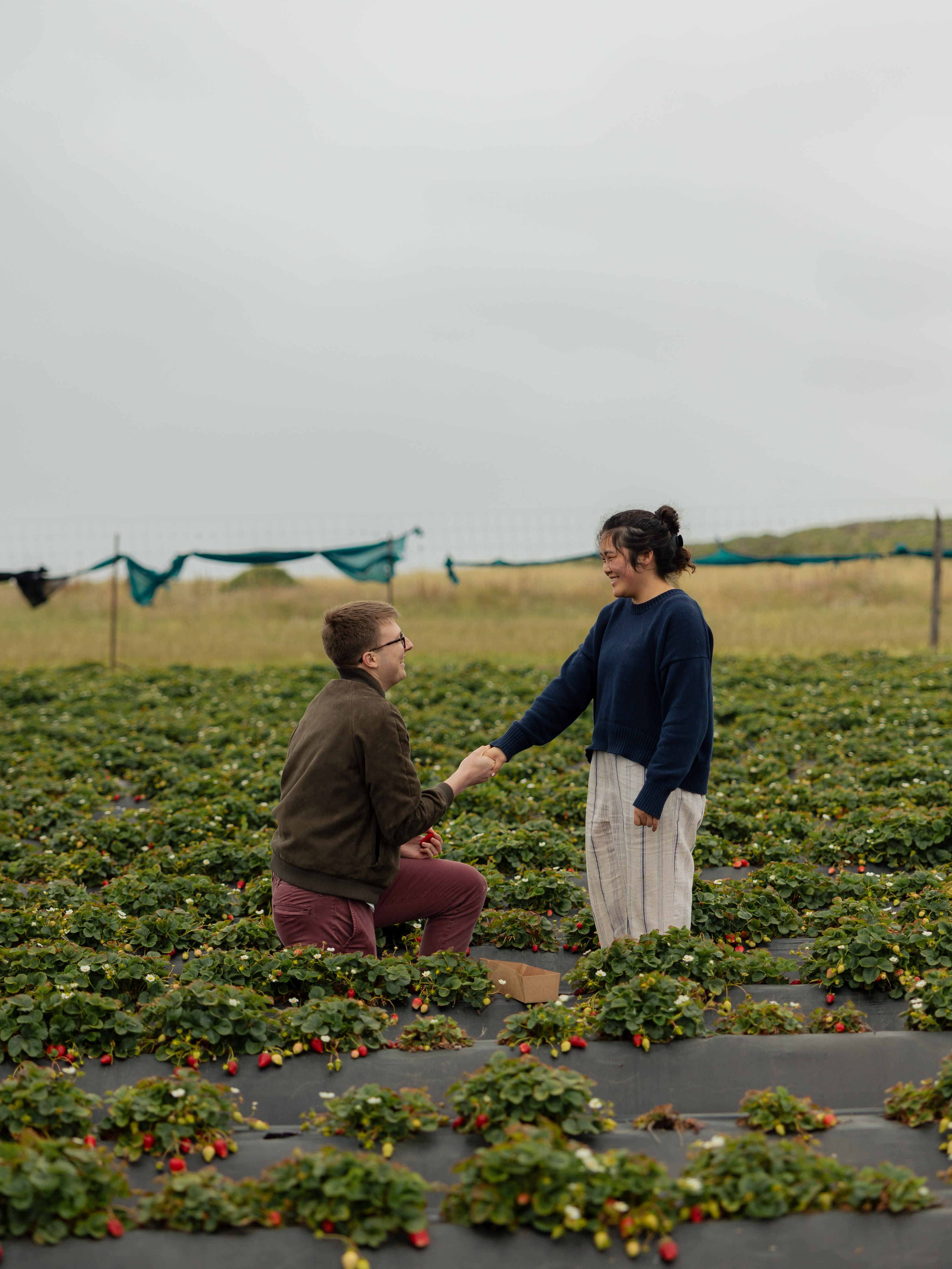 Surprise proposal at sunset in the San Francisco Bay Area — photosbyjenny