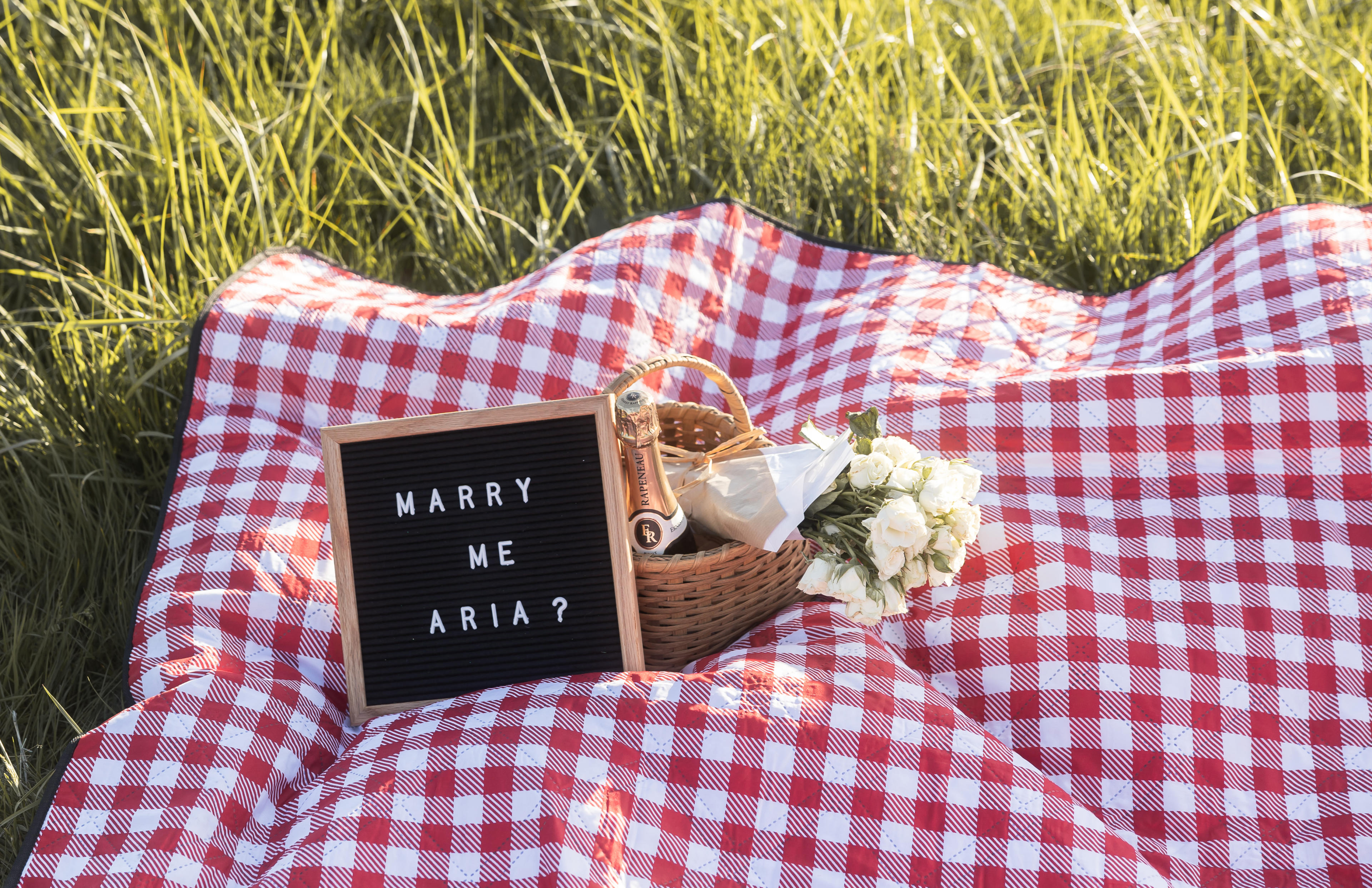 Couple celebrating after a Bay Area proposal — photosbyjenny