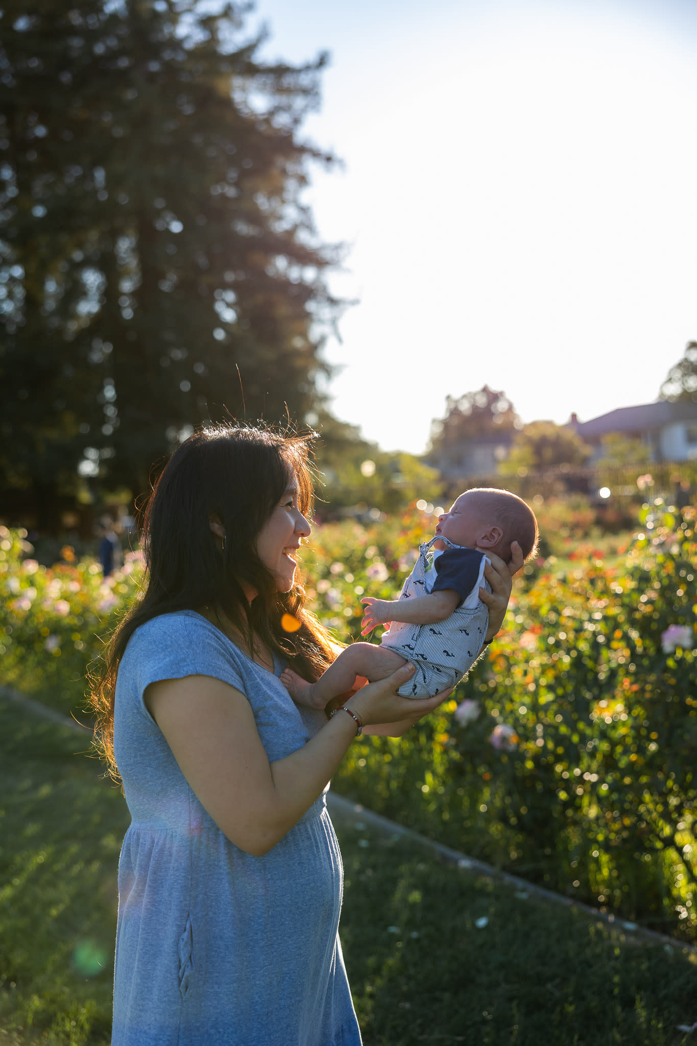 Family Photo Minis at the Rose Gardenr
