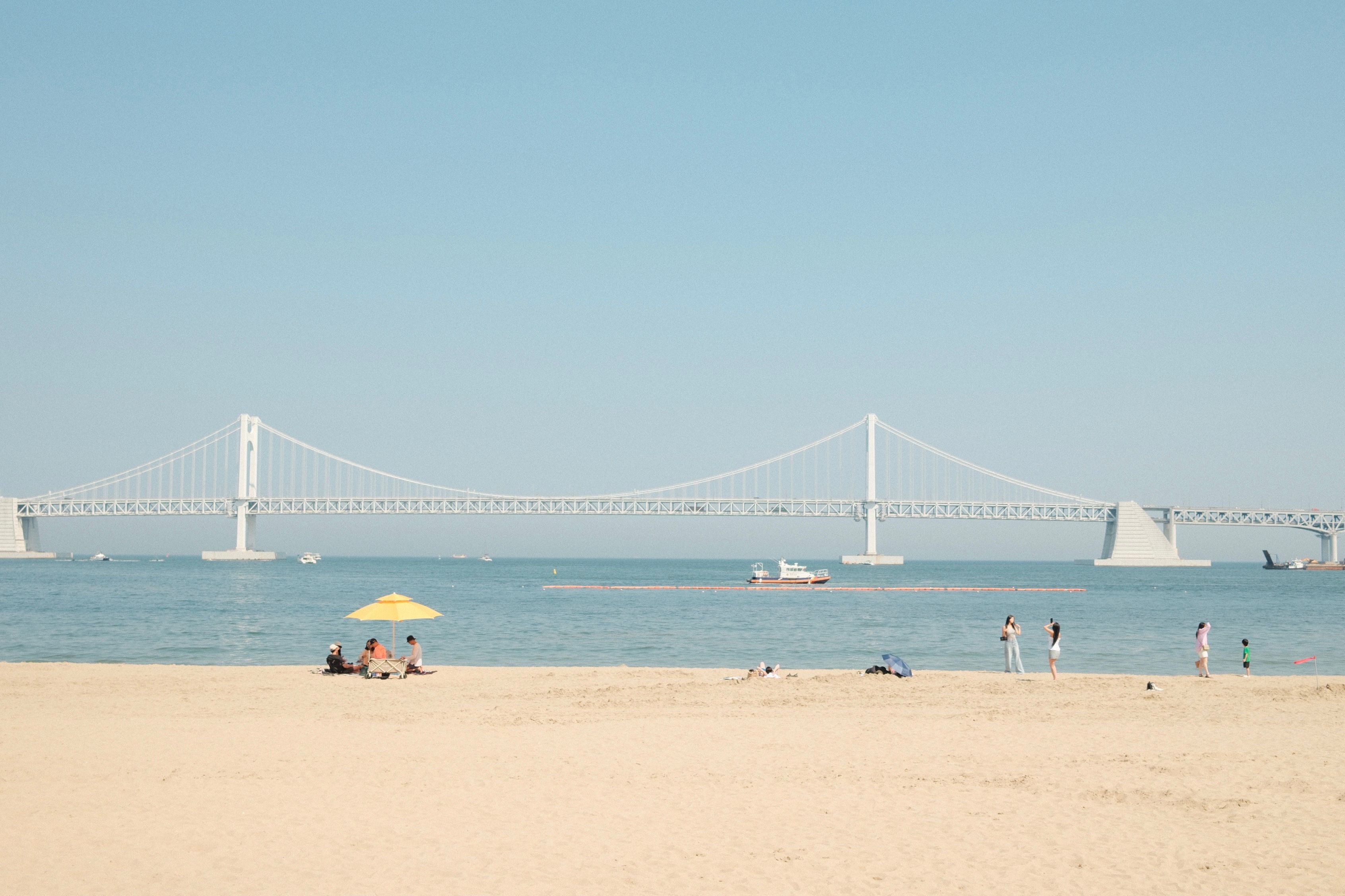 Bay Area photographer Jenny capturing moments in San Francisco