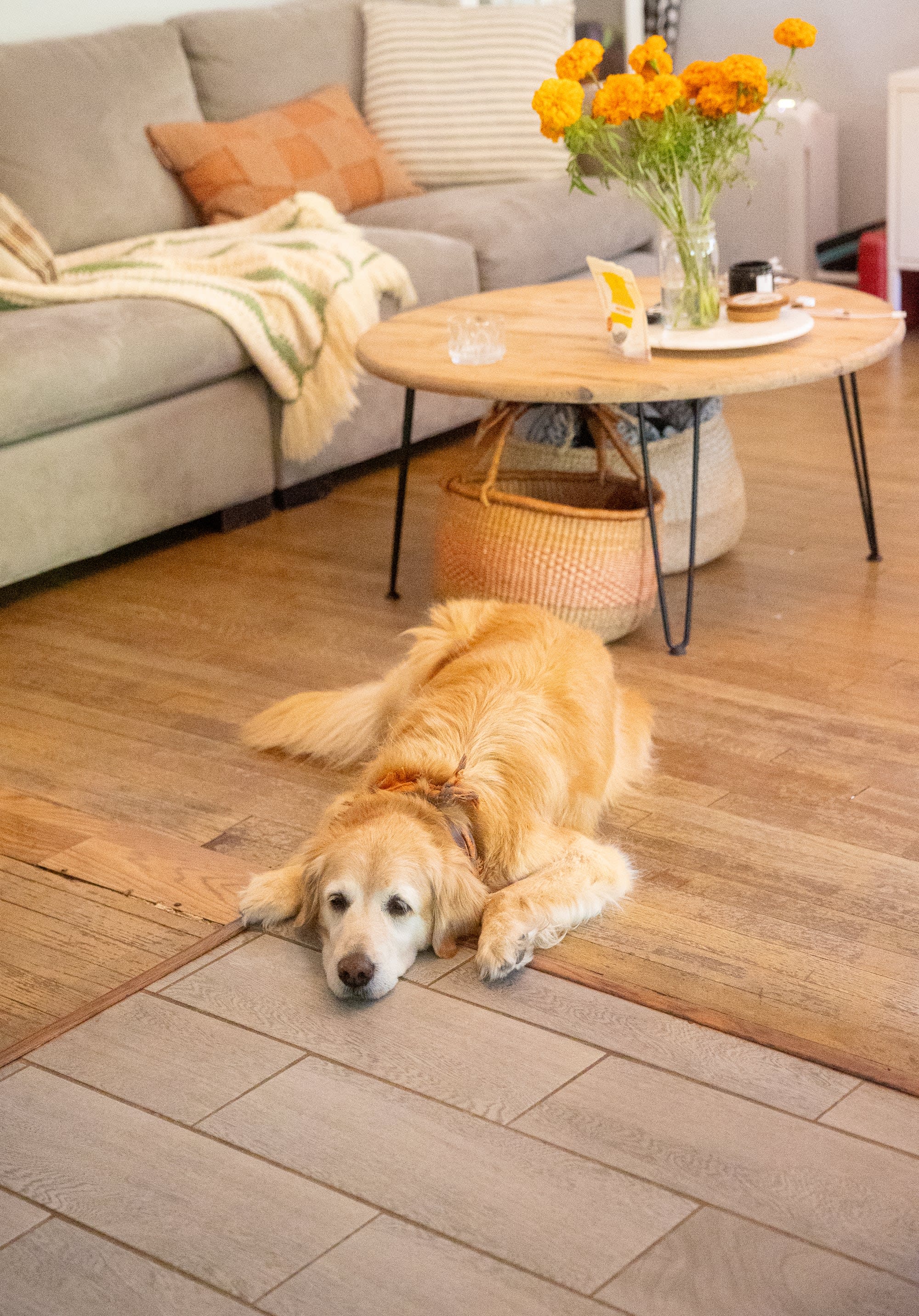 A couple enjoying a home photoshoot