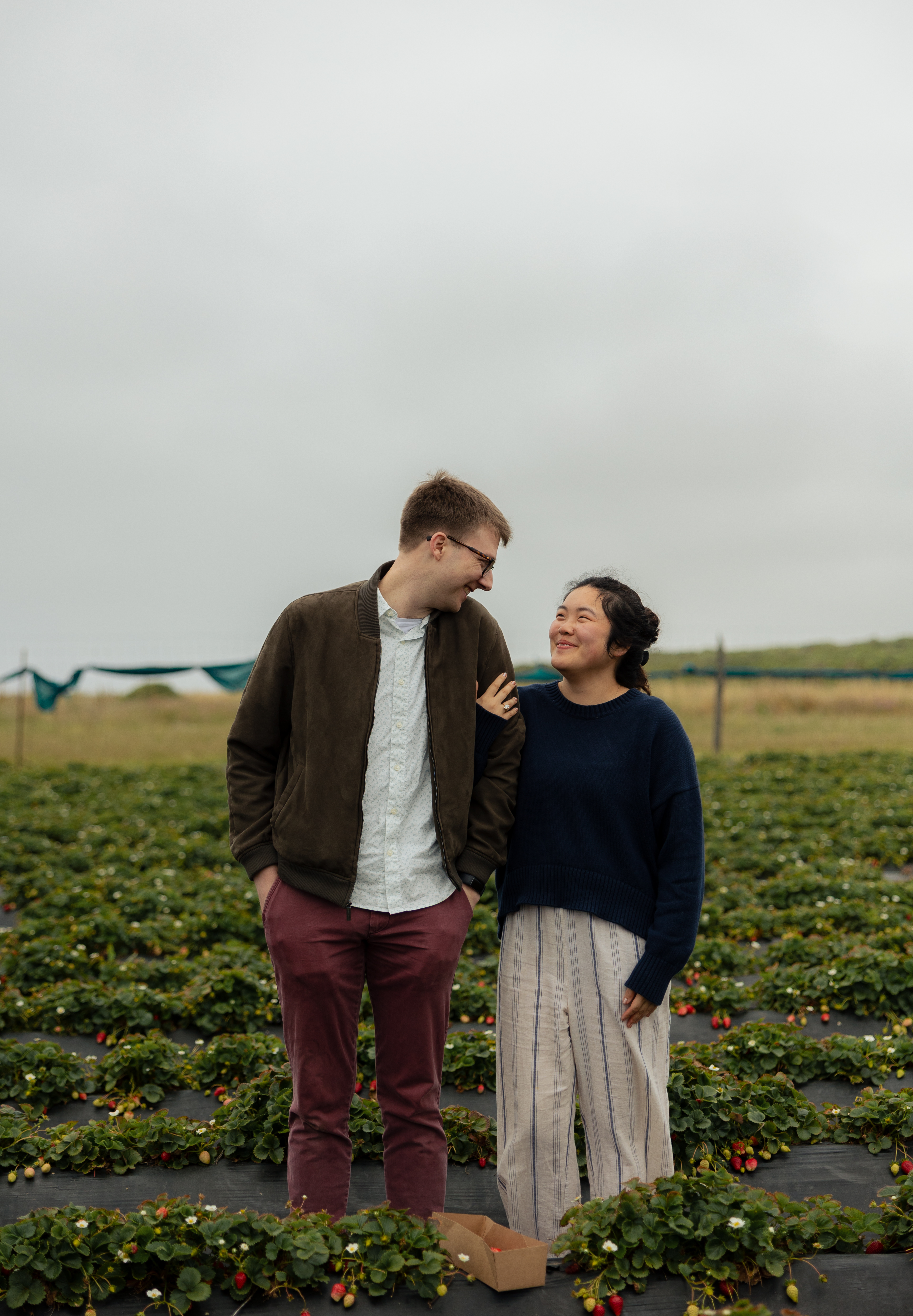 Strawberry farm proposal photos