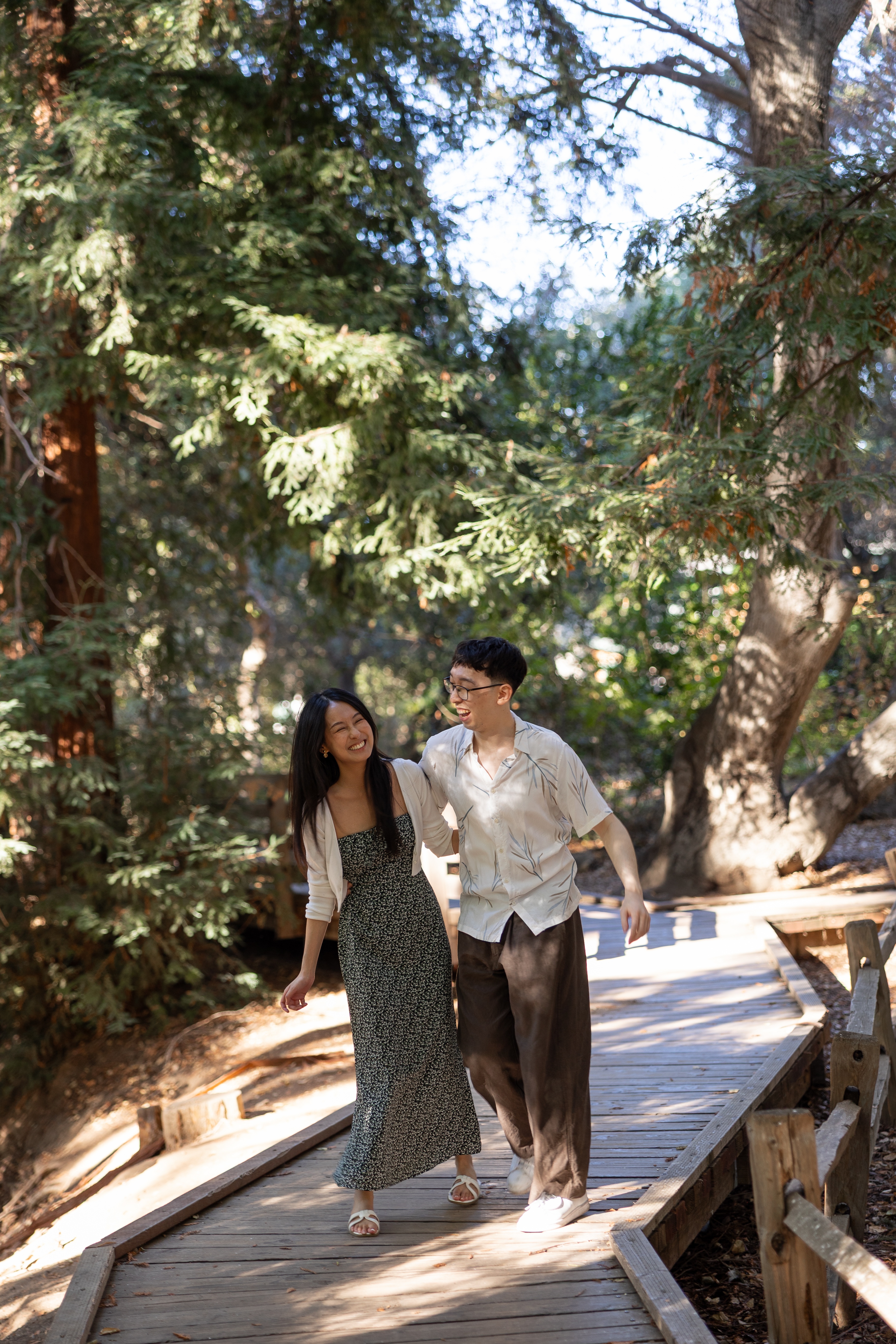 A couple enjoying a redwoods photoshoot